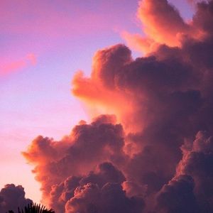 Meet your Posher, Samara